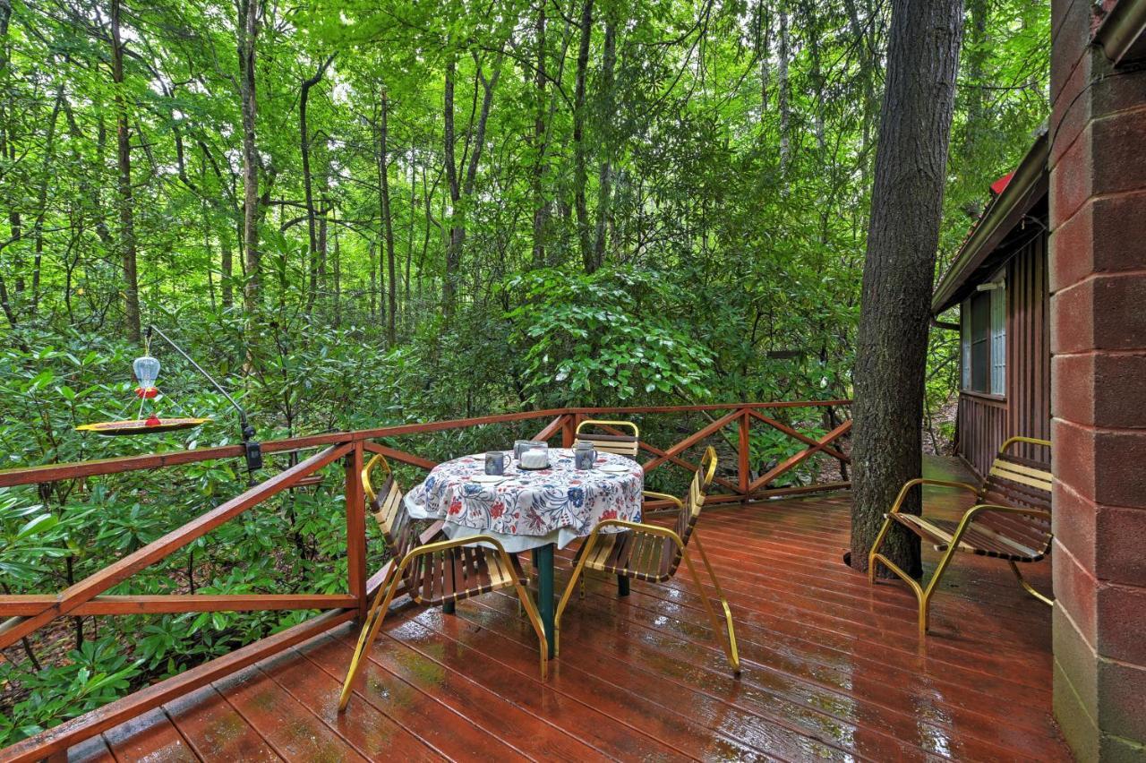 Serene Creekside Cottage Near Asheville Fire Pit Candler Exterior foto
